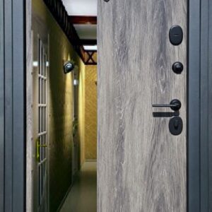 Дверь входная Регион 258Д